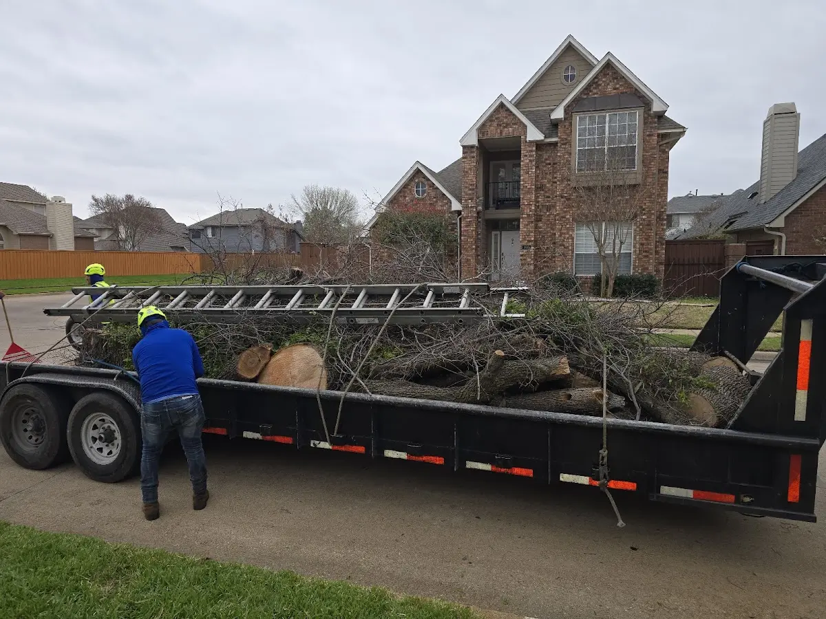 Expert Lot Clearing with proper safety equipment in Greenfield